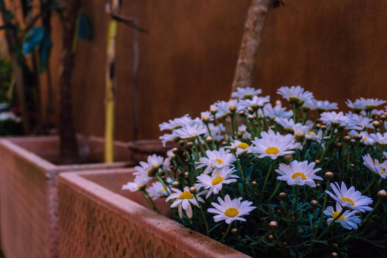 Casa Madi Daire Palermo Dış mekan fotoğraf